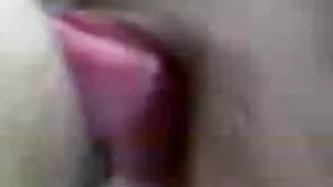 Hombre maduro se folla duro a morenas peludas xxx una chica cerca de un árbol frente a su esposa