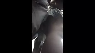 Cuerda
