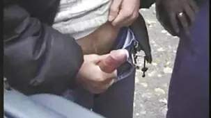 Cobertizo Interior Para Niñas 11 enanas peludas