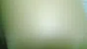 Pajeros