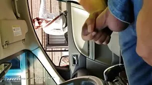Animación