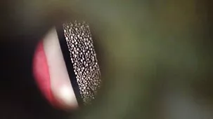 Sexo anal con señoras maduras peludas hermosa asiática suave culo apretado