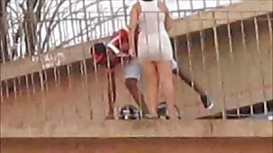 Esponjas